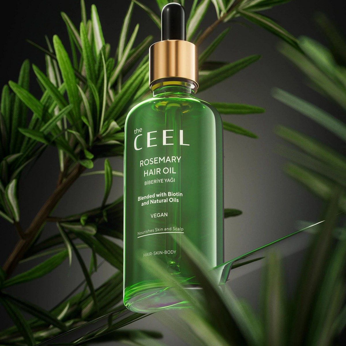Ceel Rosemary Hair Oil-50ml – Scalp and Hair Nourishment with Derma Roller 0.5mm